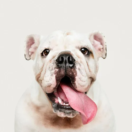 @eduardo , São Paulo